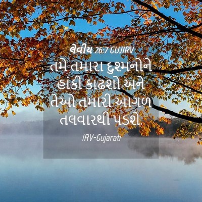Picture 04 - લેવીય 26:7 GUJIRV - તમે તમારા - Bible Verse Picture