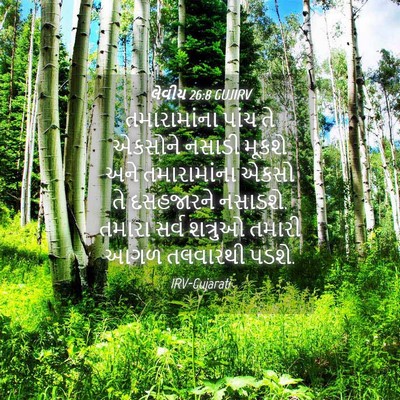 Picture 04 - લેવીય 26:8 GUJIRV - તમારામાંના પાંચ - Bible Verse Picture