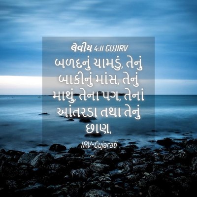 Picture 04 - લેવીય 4:11 GUJIRV - બળદનું ચામડું, - Bible Verse Picture