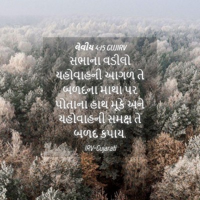 Picture 04 - લેવીય 4:15 GUJIRV - સભાના વડીલો - Bible Verse Picture