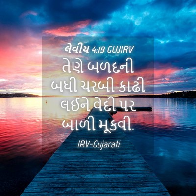 Picture 04 - લેવીય 4:19 GUJIRV - તેણે બળદની બધી - Bible Verse Picture