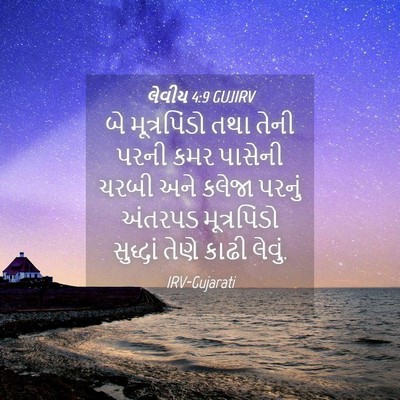 Picture 04 - લેવીય 4:9 GUJIRV - બે મૂત્રપિંડો તથા - Bible Verse Picture