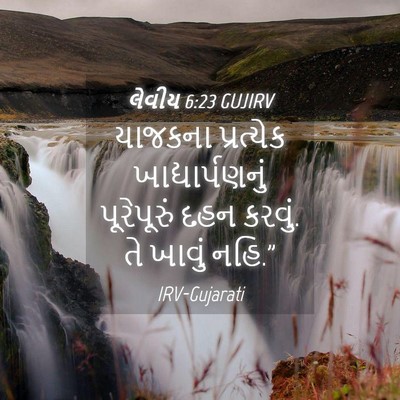 Picture 04 - લેવીય 6:23 GUJIRV - યાજકના પ્રત્યેક - Bible Verse Picture
