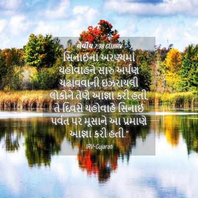 Picture 04 - લેવીય 7:38 GUJIRV - સિનાઈના અરણ્યમાં - Bible Verse Picture