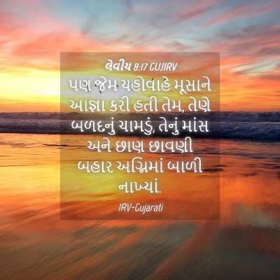 Picture 04 - લેવીય 8:17 GUJIRV - પણ જેમ યહોવાહે - Bible Verse Picture