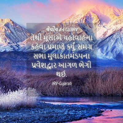 Picture 04 - લેવીય 8:4 GUJIRV - તેથી મૂસાએ - Bible Verse Picture