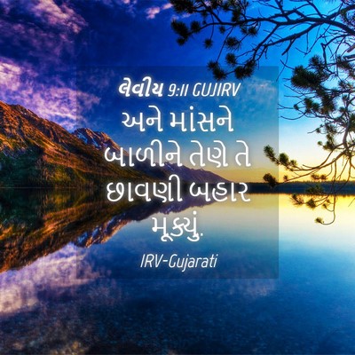 Picture 04 - લેવીય 9:11 GUJIRV - અને માંસને બાળીને - Bible Verse Picture