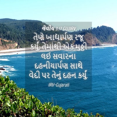 Picture 04 - લેવીય 9:17 GUJIRV - તેણે ખાદ્યાર્પણ - Bible Verse Picture