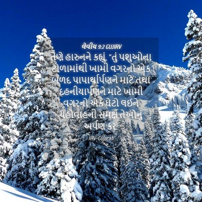 Picture 04 - લેવીય 9:2 GUJIRV - તેણે હારુનને - Bible Verse Picture