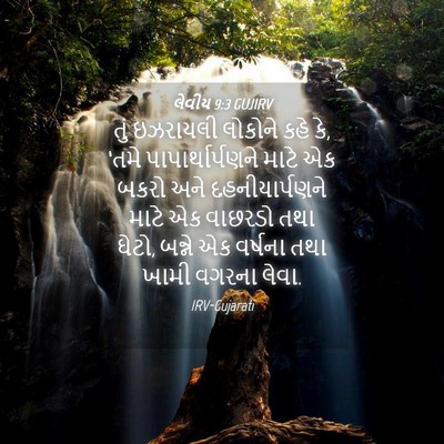 Picture 04 - લેવીય 9:3 GUJIRV - તું ઇઝરાયલી - Bible Verse Picture