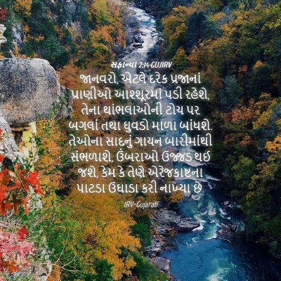 Picture 04 - સફાન્યા 2:14 GUJIRV - જાનવરો, એટલે દરેક - Bible Verse Picture