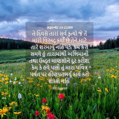 Picture 04 - સફાન્યા 3:11 GUJIRV - તે દિવસે તારાં - Bible Verse Picture