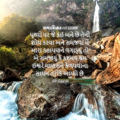 Picture 04 - સભાશિક્ષક 1:13 GUJIRV - પૃથ્વી પર જે કંઈ - Bible Verse Picture
