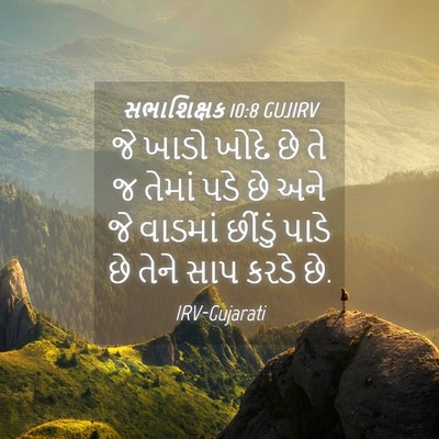 Picture 04 - સભાશિક્ષક 10:8 GUJIRV - જે ખાડો ખોદે છે તે - Bible Verse Picture