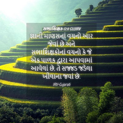 Picture 04 - સભાશિક્ષક 12:11 GUJIRV - જ્ઞાની માણસનાં - Bible Verse Picture