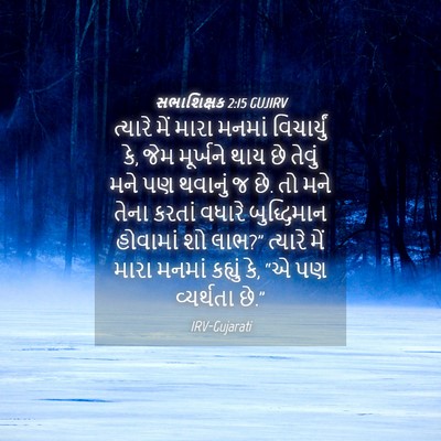 Picture 04 - સભાશિક્ષક 2:15 GUJIRV - ત્યારે મેં મારા - Bible Verse Picture
