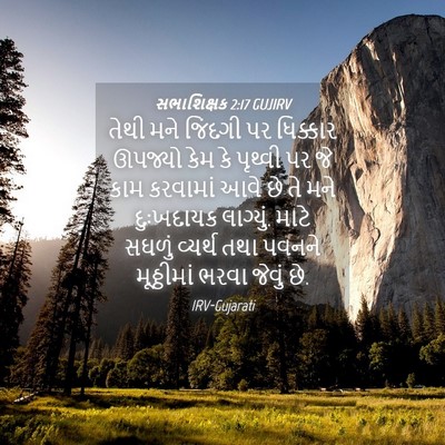 Picture 04 - સભાશિક્ષક 2:17 GUJIRV - તેથી મને જિંદગી પર - Bible Verse Picture