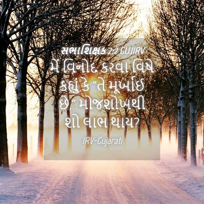 Picture 04 - સભાશિક્ષક 2:2 GUJIRV - મેં વિનોદ કરવા - Bible Verse Picture