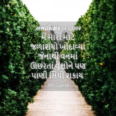 Picture 04 - સભાશિક્ષક 2:6 GUJIRV - મેં મારાં માટે - Bible Verse Picture
