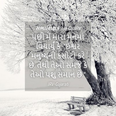 Picture 04 - સભાશિક્ષક 3:18 GUJIRV - પછી મેં મારા મનમાં - Bible Verse Picture