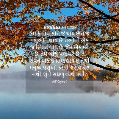 Picture 04 - સભાશિક્ષક 3:19 GUJIRV - કેમ કે માણસોને જે - Bible Verse Picture