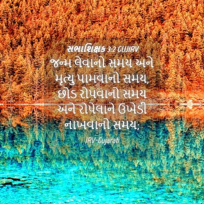 Picture 04 - સભાશિક્ષક 3:2 GUJIRV - જન્મ લેવાનો સમય - Bible Verse Picture