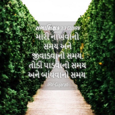 Picture 04 - સભાશિક્ષક 3:3 GUJIRV - મારી નાખવાનો સમય - Bible Verse Picture