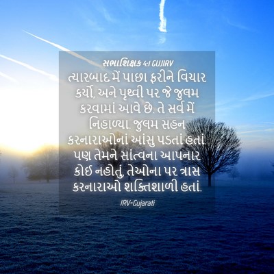 Picture 04 - સભાશિક્ષક 4:1 GUJIRV - ત્યારબાદ મેં પાછા - Bible Verse Picture
