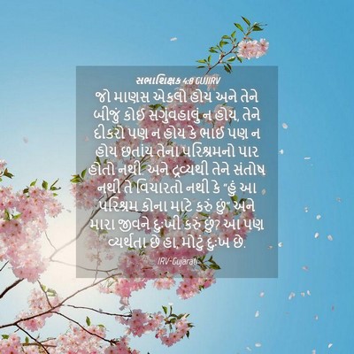 Picture 04 - સભાશિક્ષક 4:8 GUJIRV - જો માણસ એકલો હોય - Bible Verse Picture