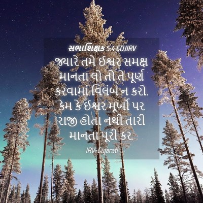 Picture 04 - સભાશિક્ષક 5:4 GUJIRV - જ્યારે તમે ઈશ્વર - Bible Verse Picture