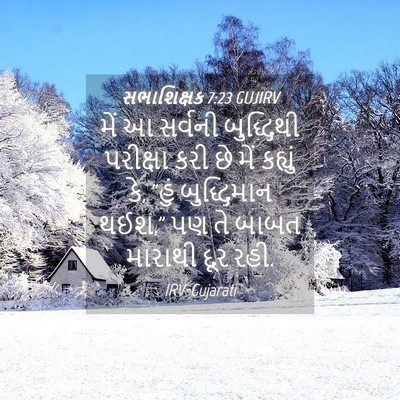 Picture 04 - સભાશિક્ષક 7:23 GUJIRV - મેં આ સર્વની - Bible Verse Picture