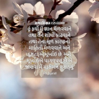 Picture 04 - સભાશિક્ષક 7:25 GUJIRV - હું ફર્યો મેં - Bible Verse Picture