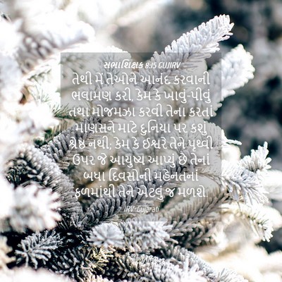 Picture 04 - સભાશિક્ષક 8:15 GUJIRV - તેથી મેં તેઓને - Bible Verse Picture