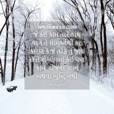 Picture 04 - સભાશિક્ષક 9:10 GUJIRV - જે કંઈ કામ તારે હાથ - Bible Verse Picture