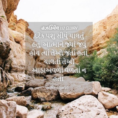 Picture 04 - હઝકિયેલ 1:12 GUJIRV - દરેક પશુ સીધું - Bible Verse Picture
