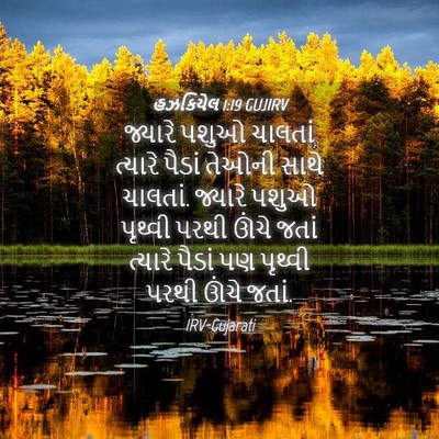 Picture 04 - હઝકિયેલ 1:19 GUJIRV - જ્યારે પશુઓ - Bible Verse Picture