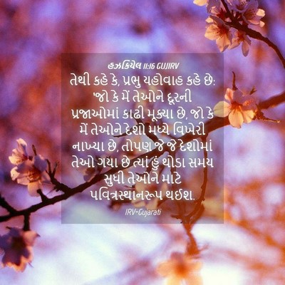 Picture 04 - હઝકિયેલ 11:16 GUJIRV - તેથી કહે કે, પ્રભુ - Bible Verse Picture