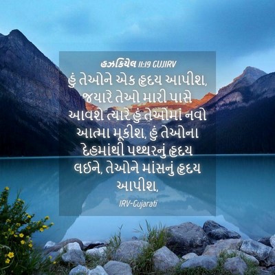 Picture 04 - હઝકિયેલ 11:19 GUJIRV - હું તેઓને એક હૃદય - Bible Verse Picture