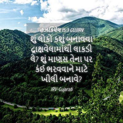 Picture 04 - હઝકિયેલ 15:3 GUJIRV - શું લોકો કશું - Bible Verse Picture