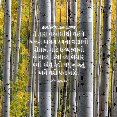 Picture 04 - હઝકિયેલ 16:16 GUJIRV - તેં તારા - Bible Verse Picture