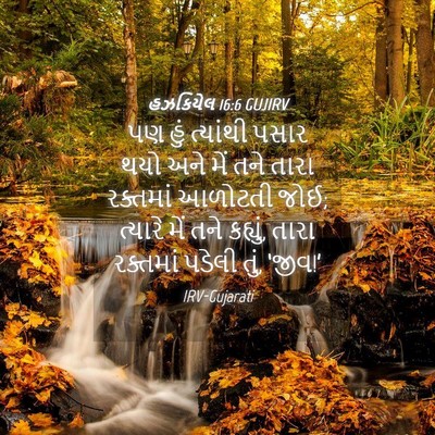 Picture 04 - હઝકિયેલ 16:6 GUJIRV - પણ હું ત્યાંથી - Bible Verse Picture