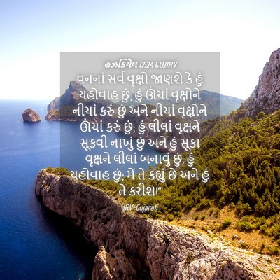 Picture 04 - હઝકિયેલ 17:24 GUJIRV - વનનાં સર્વ વૃક્ષો - Bible Verse Picture