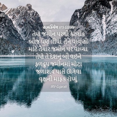 Picture 04 - હઝકિયેલ 17:5 GUJIRV - તેણે જમીન પરથી - Bible Verse Picture