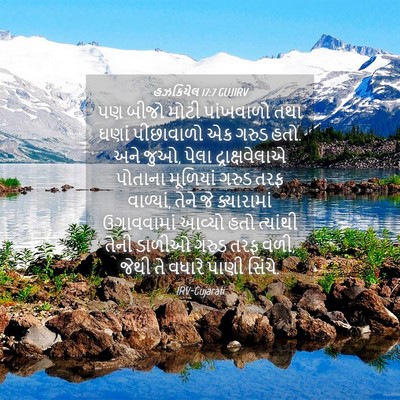 Picture 04 - હઝકિયેલ 17:7 GUJIRV - પણ બીજો મોટી - Bible Verse Picture