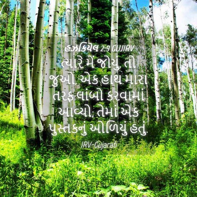 Picture 04 - હઝકિયેલ 2:9 GUJIRV - ત્યારે મેં જોયું, - Bible Verse Picture