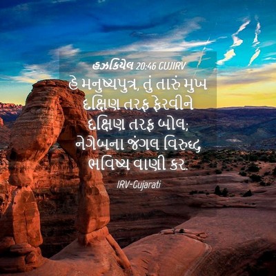 Picture 04 - હઝકિયેલ 20:46 GUJIRV - હે મનુષ્યપુત્ર, - Bible Verse Picture