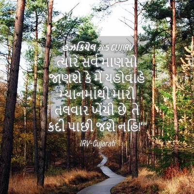 Picture 04 - હઝકિયેલ 21:5 GUJIRV - ત્યારે સર્વ માણસો - Bible Verse Picture