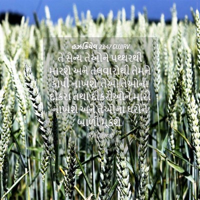 Picture 04 - હઝકિયેલ 23:47 GUJIRV - તે સૈન્ય તેઓને - Bible Verse Picture