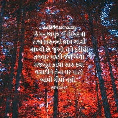 Picture 04 - હઝકિયેલ 30:21 GUJIRV - “હે મનુષ્યપુત્ર, - Bible Verse Picture