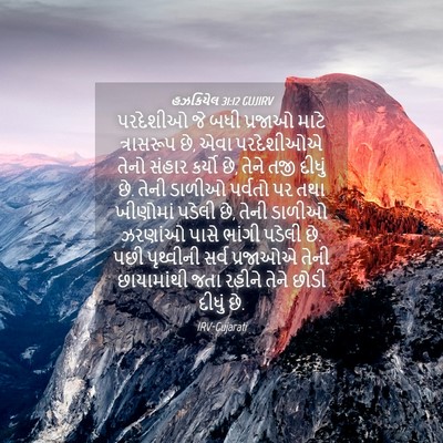 Picture 04 - હઝકિયેલ 31:12 GUJIRV - પરદેશીઓ જે બધી - Bible Verse Picture